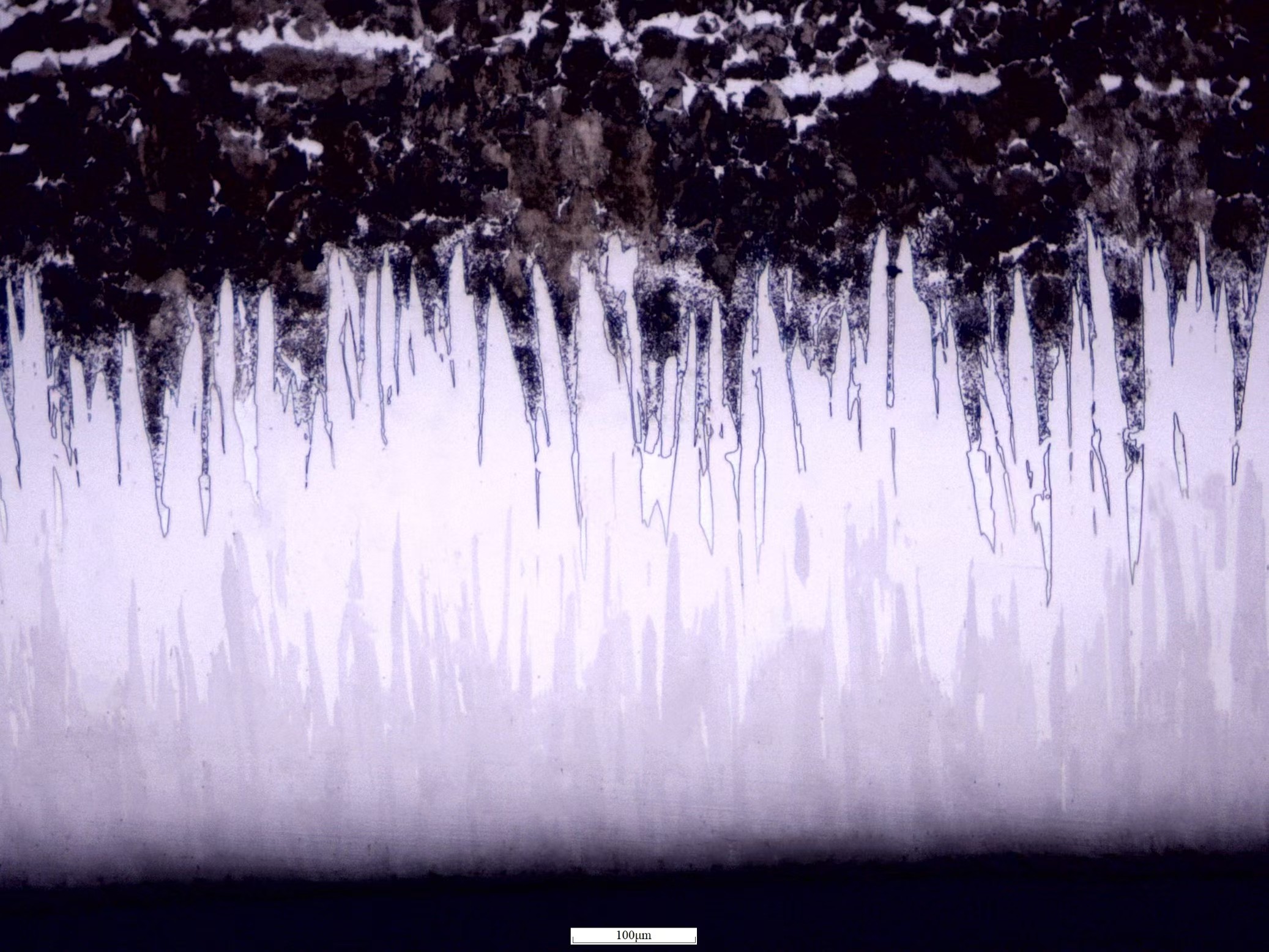 SEM cross-section of Fusion X treatment on J55 grade