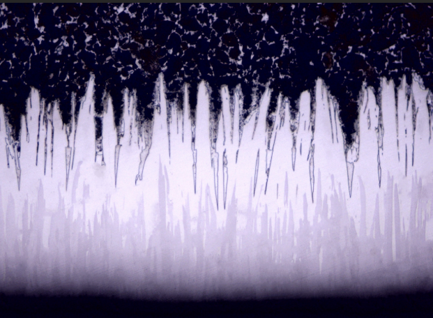 SEM cross-section of Fusion X boron treatment showing dual-layer structure